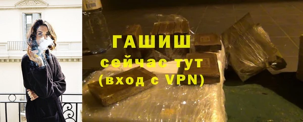 эйфоретик Няндома