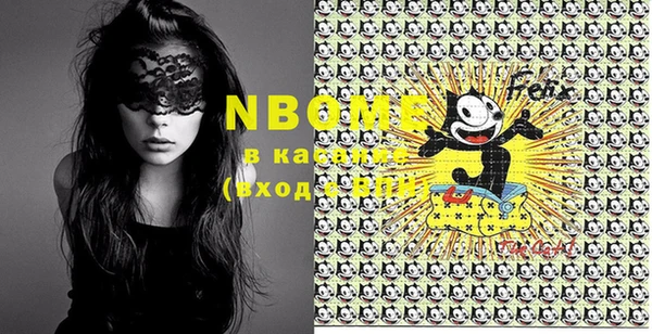 эйфоретик Няндома