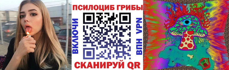 Купить  Южа  Галлюциногенные грибы Magic Shrooms 